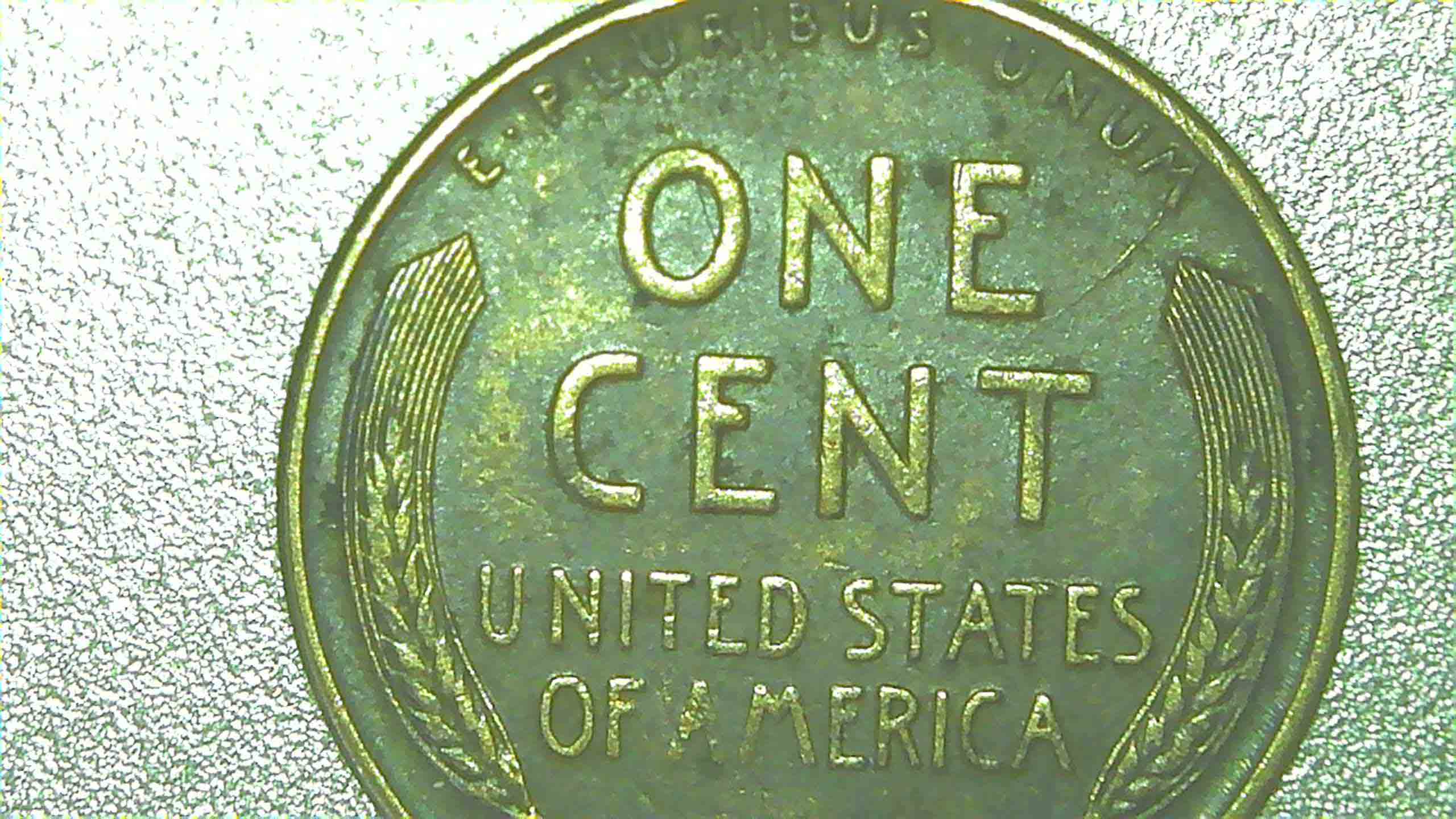 1919-S--1929-S-Appreciate-Your-Grading-Thoughts.